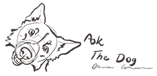 cropped-xaskthedog-logowww95dpi.png.pagespeed.ic_.D2OSdSGFxz.webp