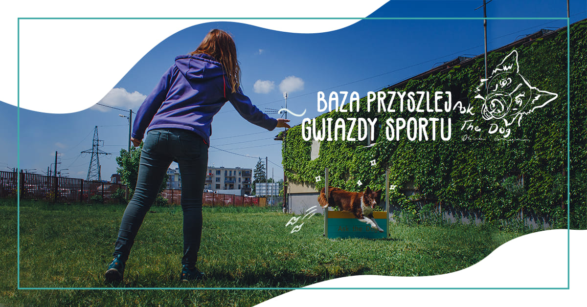 bazaprzyszlejgwiazdysportu