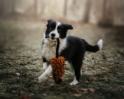 Majanna Potography