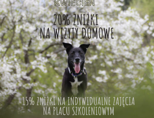 Promocja w kwietniu